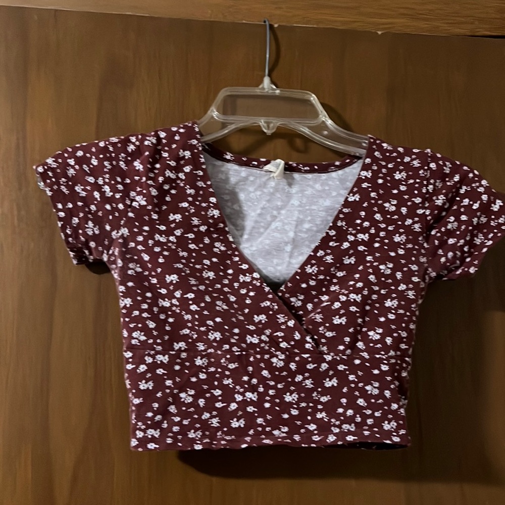 Womens Cute Sky and Sparrow Brown & White XS Crop Top